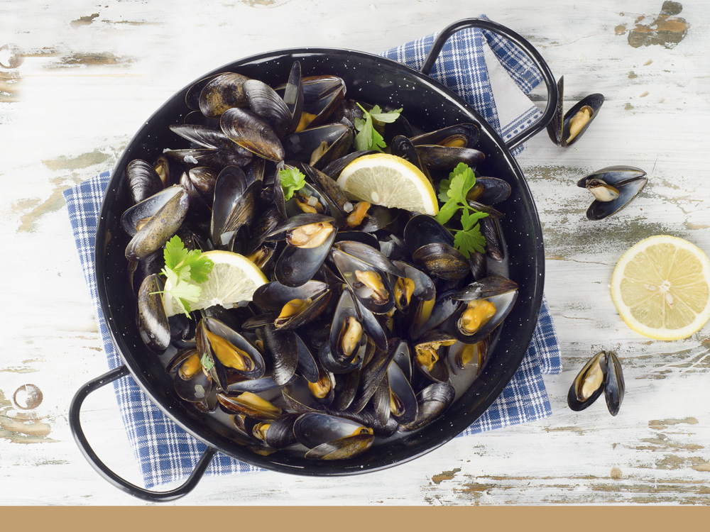 Recettes sauces pour moules surgelées Gimbert Océan