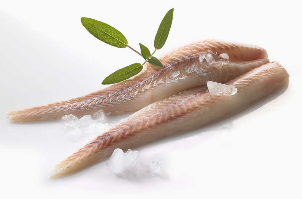 FILETS-COLIN-GIMBERT-OCEAN