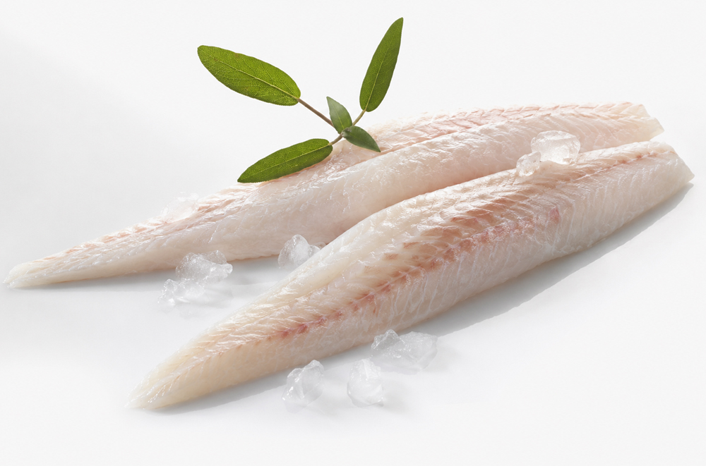 FILETS-MERLU-GIMBERT-OCEAN